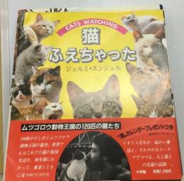 猫ふえちゃったーキャッツウォッチング