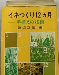 イネつくり12ヶ月 手植えの技術