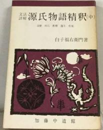 文法詳解源氏物語精釈「中」