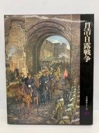 日本歴史シリーズ　第19巻　日清・日露戦争