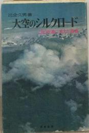 大空のシルクロード　ゴビ砂漠に消えた青春