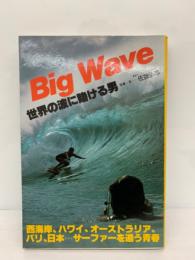 Big Wave　世界の波に賭ける男