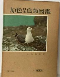 原色日本鳥類図鑑