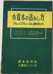 小資本の活かし方