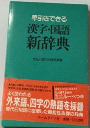 早引きできる  漢字・国語  新辞典