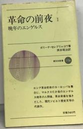 革命の前夜１  晩年のエンゲルス