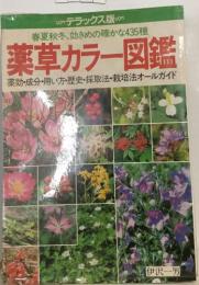 薬草カラー図鑑 春夏秋冬、効きめの確かな435種