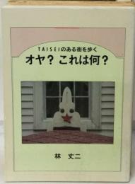 オヤ? これは何?　TAISEI のある街を歩く