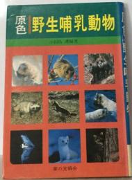 野生哺乳動物