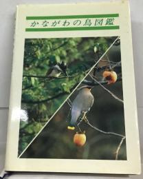 かながわの鳥図鑑