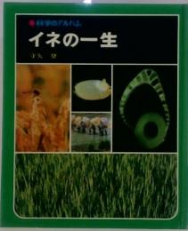 科学のアルバム イネの一生