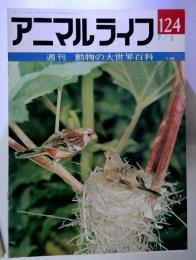 アニマルライフ 124　  週刊 動物の大世界百科