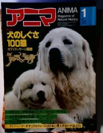 犬のしぐさ1001ボディランゲージ図鑑　アニマ1