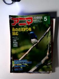 アニマ 鳥のさえずりを 読む　５