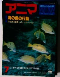 アニマ　76号　特集・ 海の魚の行動　性転換・擬態・コミュニケーション