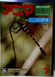 アニマ　特集　トンボの世界