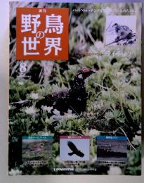 週刊野鳥の 世界　　8　2010