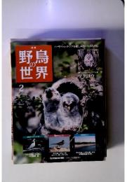 野鳥の世界2　10/3/16