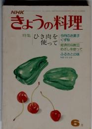 NHK　きょうの料理　特集　ひき肉を使って　６月号