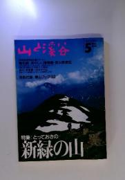 山と渓谷 5　１９９３年５月号
