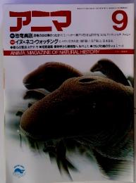 アニマ 9