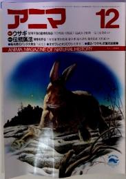 アニマ 　12
