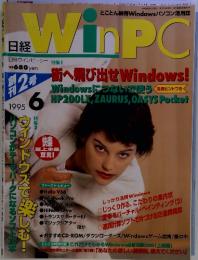 日経日経ウインピーシー特集1定価　1995年　6月号
