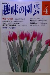 NHK 趣味の園芸　1992年　4月号　チューリップ