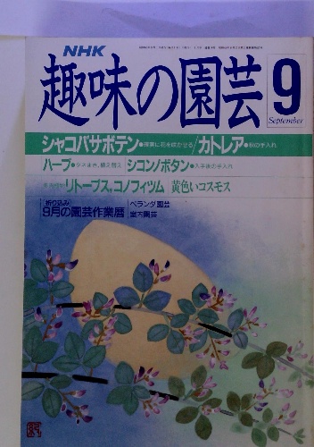 腎臓病と甲田療法 現代医学で治らぬ人のために/創元
