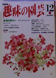 趣味の園芸 12　正月の洋ラン 　12月