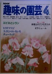 NHK趣味の園芸　4月　エビネとシラン