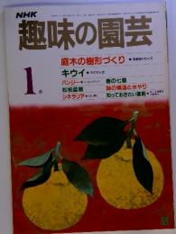 NHK趣味の園芸　1月　庭木の樹形づくり