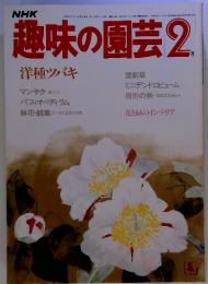 NHK趣味の園芸2 洋種ツバキ