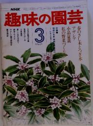 NHK趣味の園芸　1977年3月号