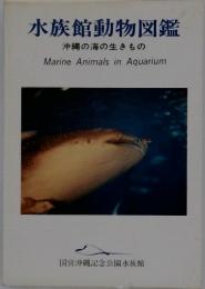 水族館動物図鑑 沖縄の海の生きもの