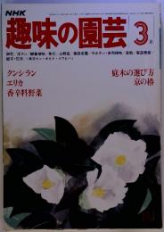 NHK　趣味の園芸　昭和56年3月