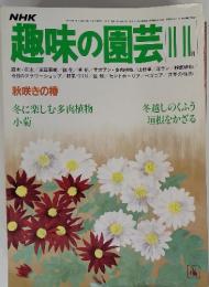 NHK 趣味の園芸 昭和56年11月1日発行