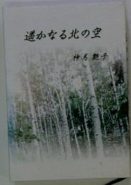 遥かなる北の空