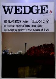 WEDGE　2010年6月