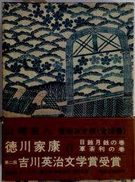 徳川家康　11　日蝕月蝕の巻　徳川家康茶利の巻