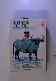 望星 THE BOSEI　1991年6月号