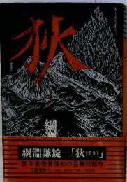 狄