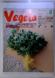 野菜が主役の新鮮マガジンタ　Vegeta 　1990年6月号