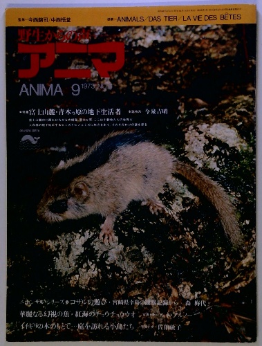 新西遊記 上(陳舜臣) / 古本配達本舗 / 古本、中古本、古書籍の