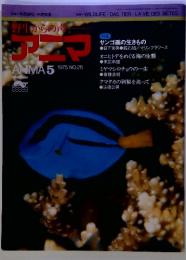 野生からの声アニマ5　1975　No26