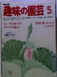 趣味の園芸 5月　花壇を楽しむくふう シュロチク