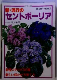 園芸ガイド別冊6 新・流行のセントポーリア 