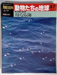 動物たちの地球47 生物圏の構造 ④ 母なる海　5/17