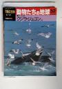 週刊朝日百科 動物たちの地球 52