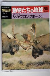 朝日百科　7/12 動物たちの地球　55
